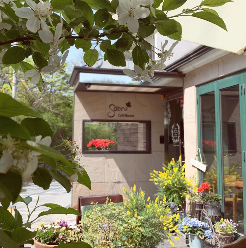 韓国、韓国ピンス、ピンス、かき氷、韓国かき氷、韓国カフェ、カフェ