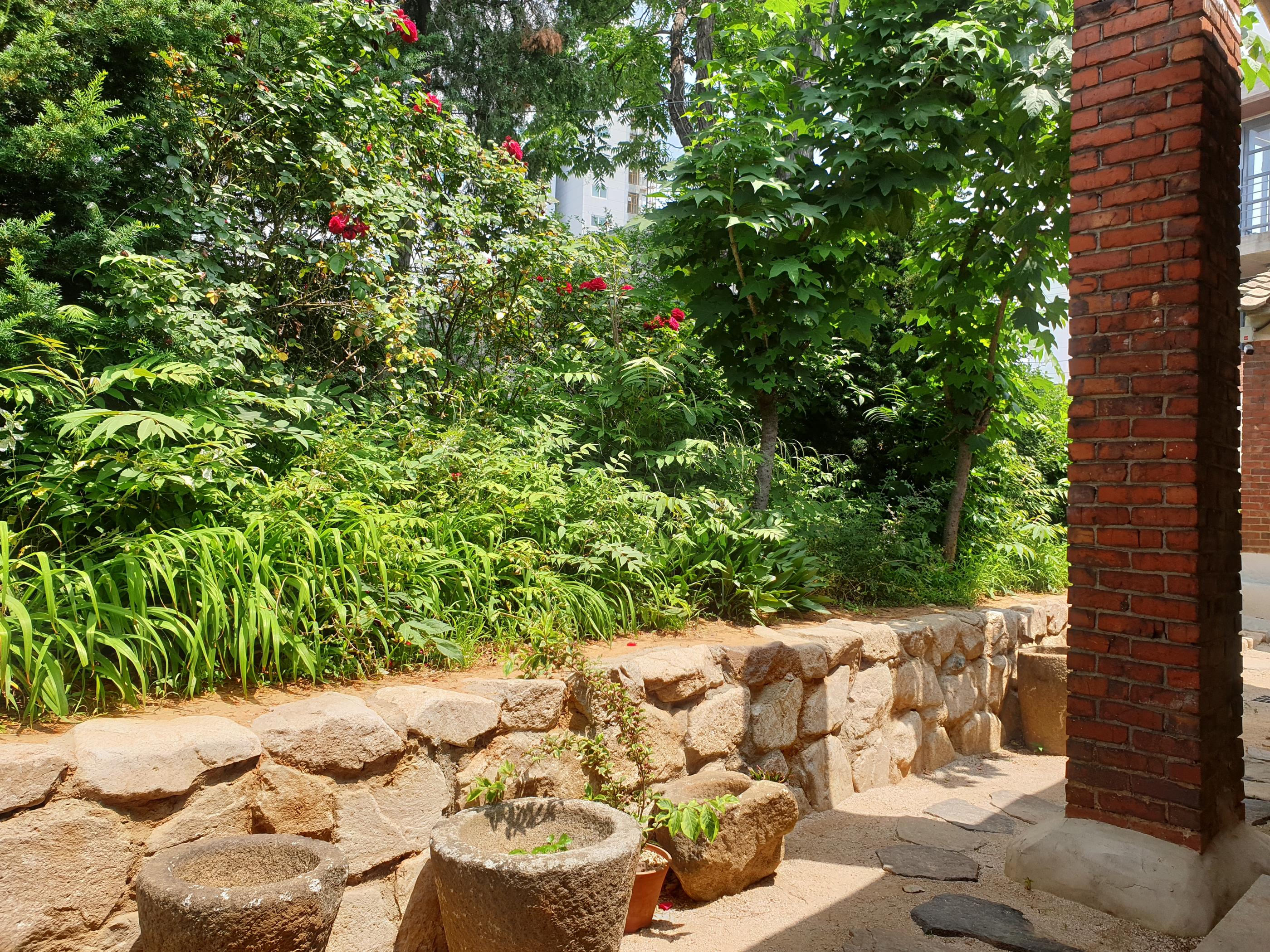 韓屋カフェの緑豊かな庭園の一部、石垣と植物が相まって周囲に癒しのオアシスを形成している。