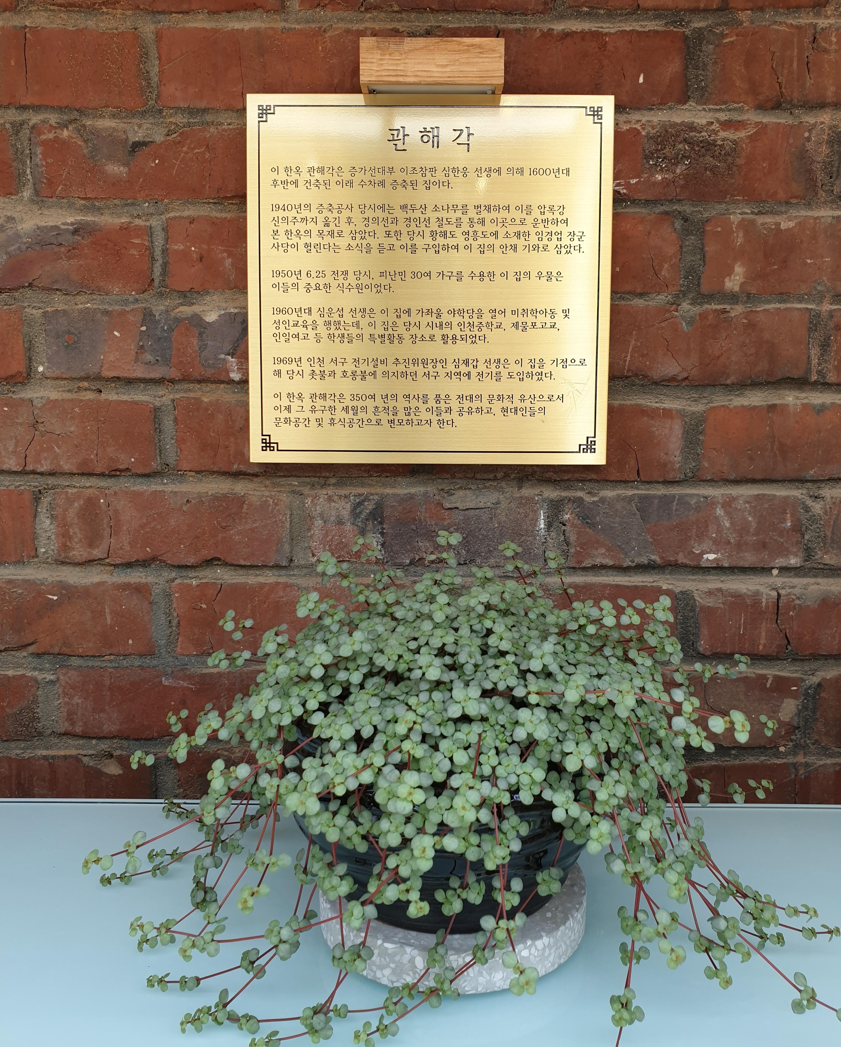 #韓国カフェ #韓屋カフェ #韓屋 #インチョン #仁川 #韓国オシャレなカフェ #韓国情報 #韓国旅行 #渡韓