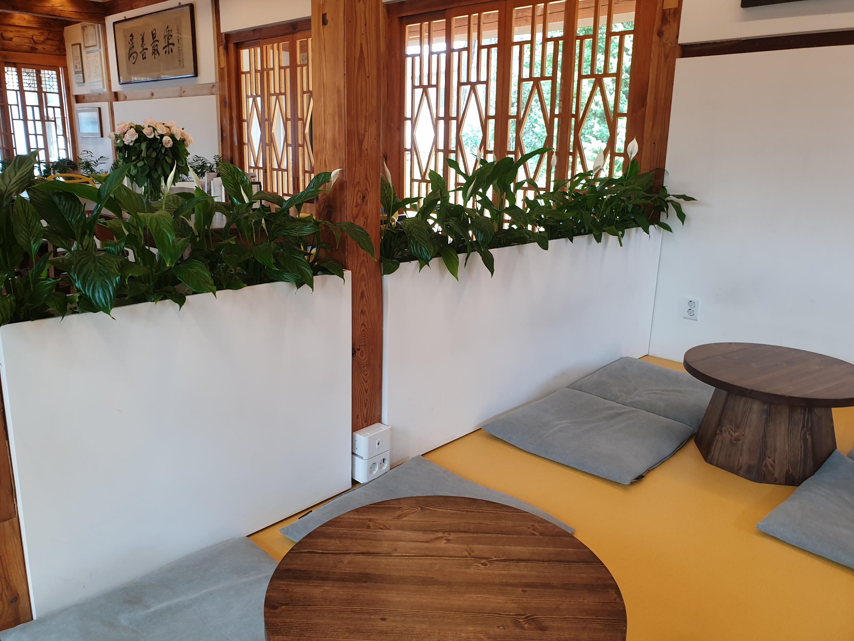 座敷風のテーブル席に植物がアクセントを与える韓屋カフェ内の室内イメージ。