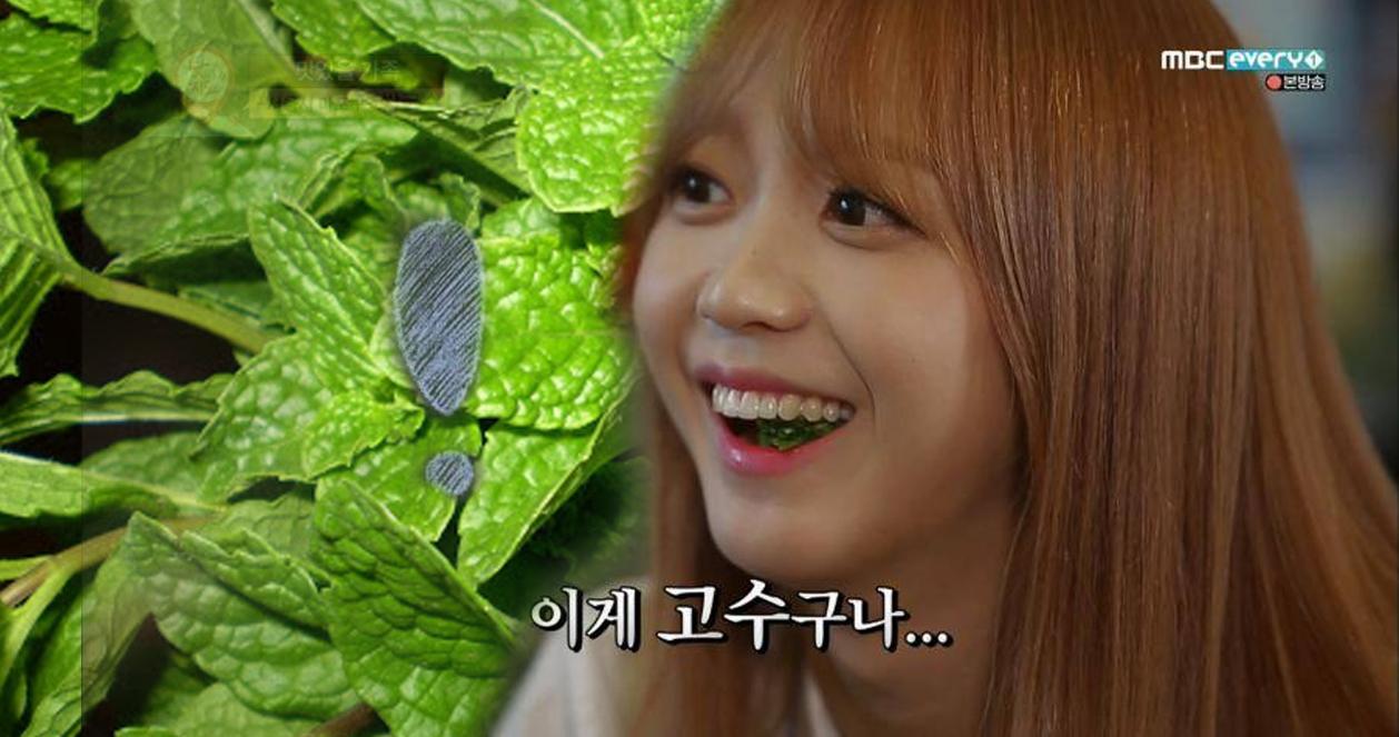 Sốc vì giá rau thơm Việt Nam ở Hàn! Đắt hơn cả thịt!