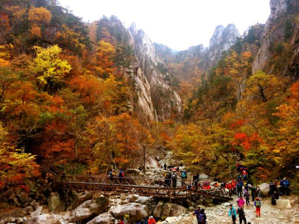 เวลาว่างหรือช่วงวันหยุด คนเกาหลีเขาทำอะไรกันน่า? ไปดูหนังฟังเพลง หรือเดินฮงแดชิวๆหรือจะไปทำกิจกรรมกลางแจ้งมันส์ๆแทน