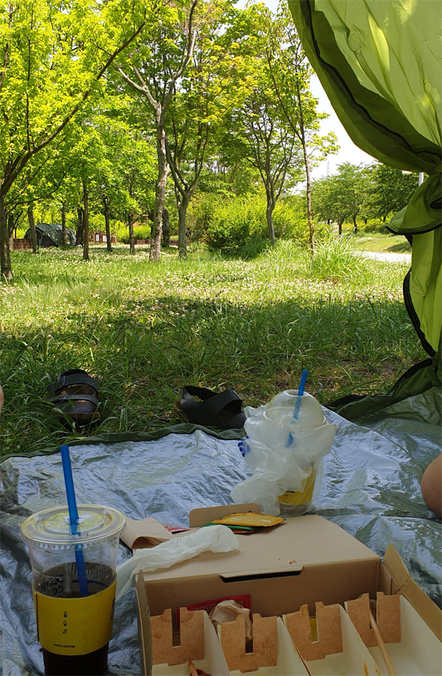 韩江公园内野餐时的美丽景色，清新的氛围和轻松的用餐体验
