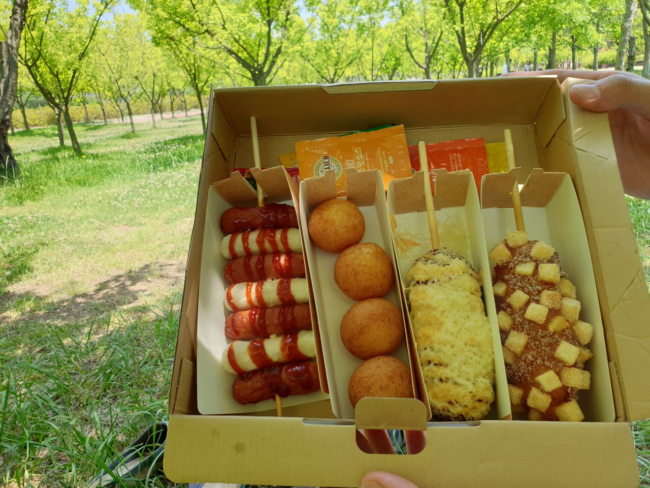 在公园野餐时打开的明朗热狗套餐，包含多种美味项