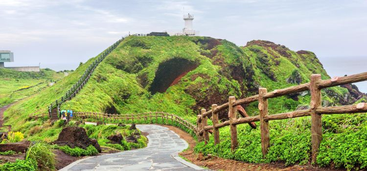 Yoo Yeon-seok Tour | Creatrip Locals