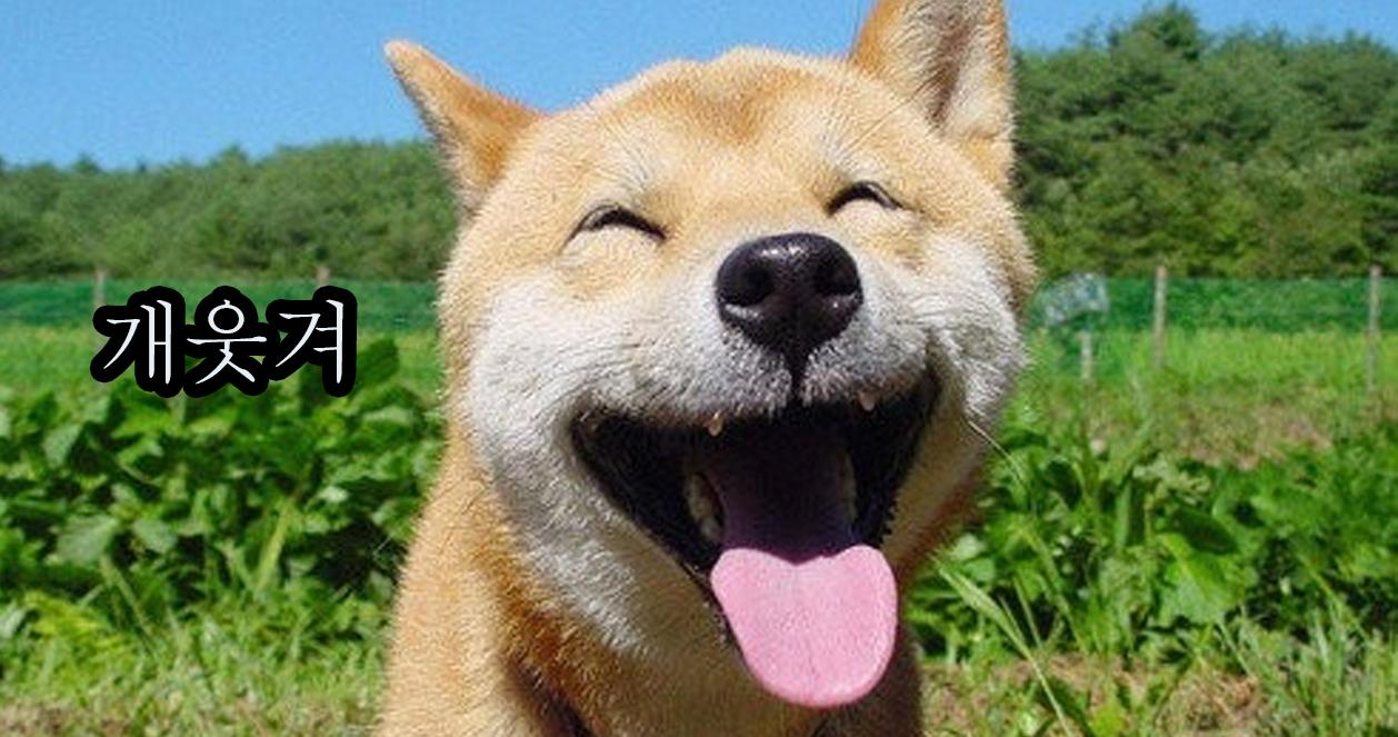 อัพเดท 14 คำศัพท?เกาหลีใหม่ๆ ที่นิยมใช้กันในหมู่วัยรุ่นเกาหลี!