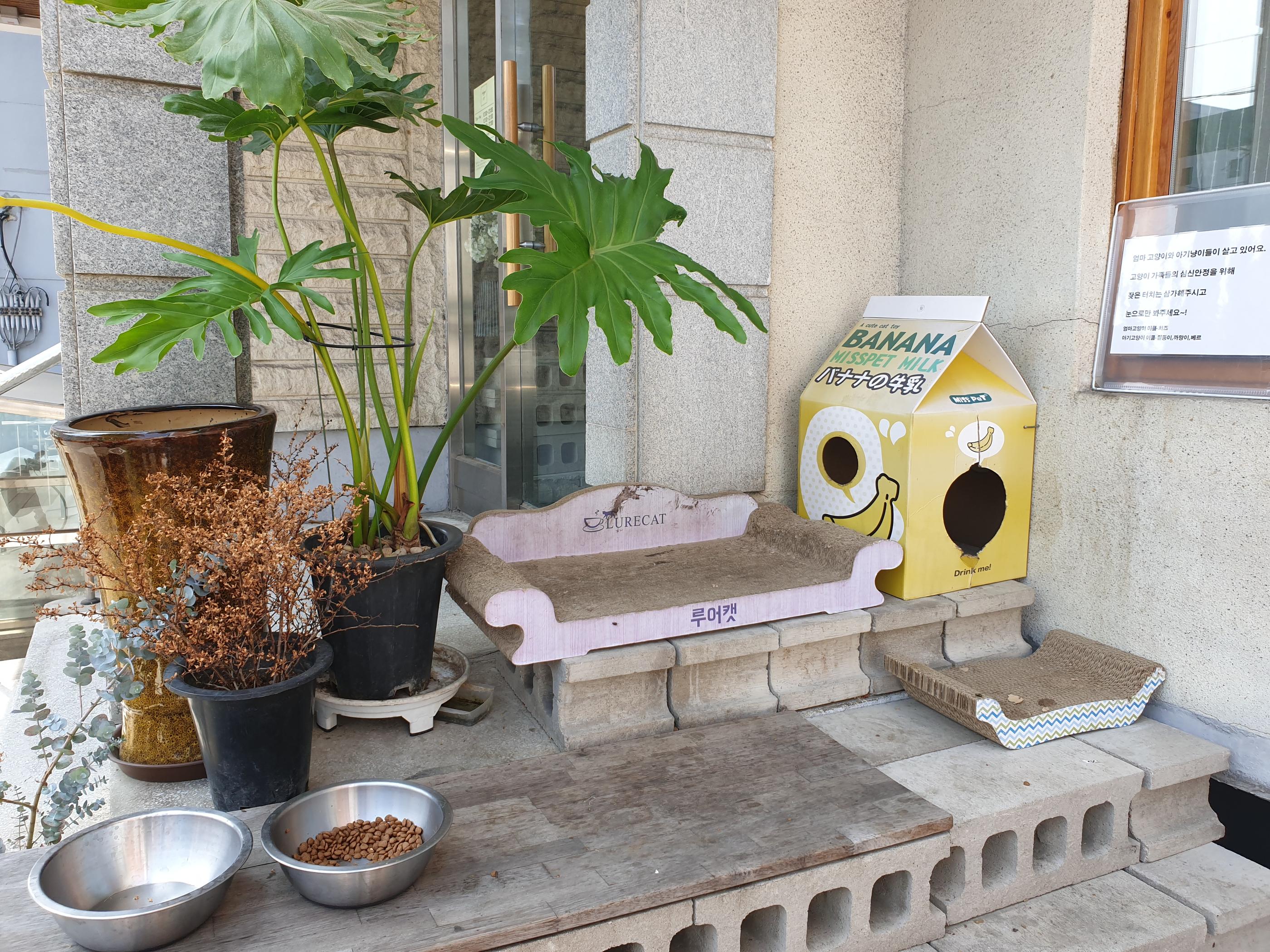 #インチョンカフェ # インチョン #仁川カフェ #仁川 #韓国近郊 #韓国旅行 #韓国カフェ #韓国デザート #韓国情報