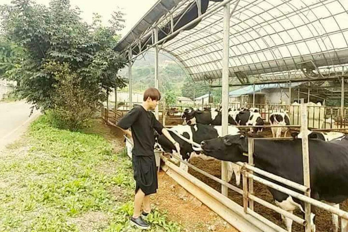 夢見好多蛇即係要小心身邊人？韓國動物解夢意思！