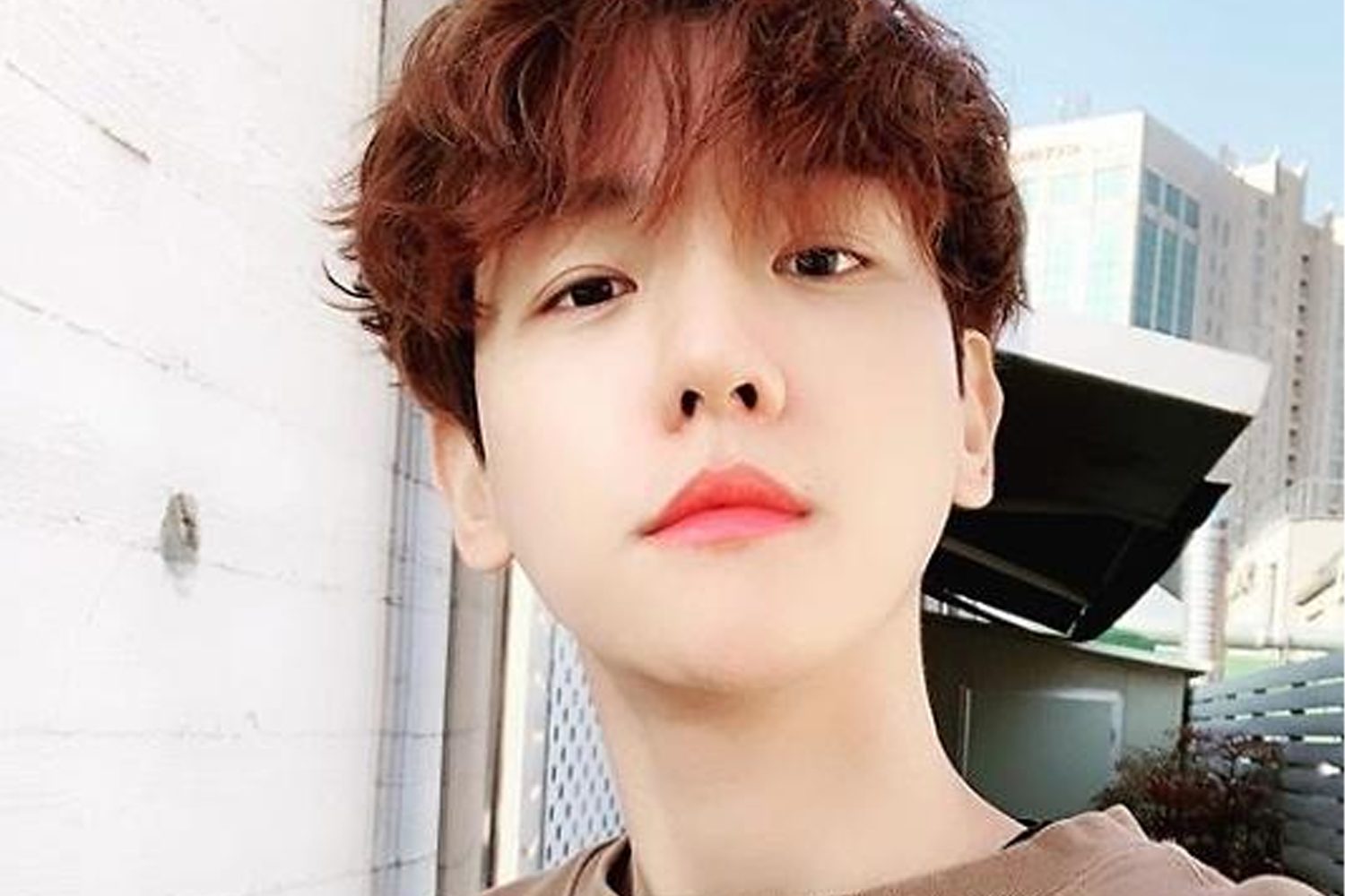 酒量低韓星 伯賢 