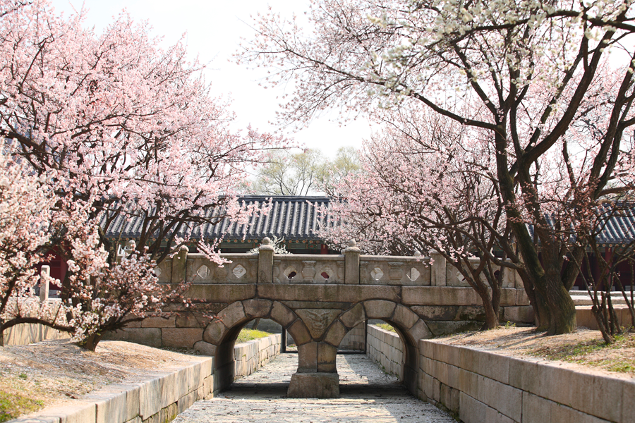 The charming view of Changgyeonggung Palace