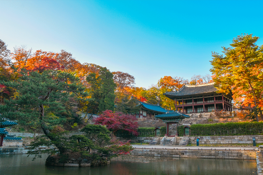 The Hidden Garden of Changdeokgung Palace, featuring lush greenery providing a peaceful escape from the city.