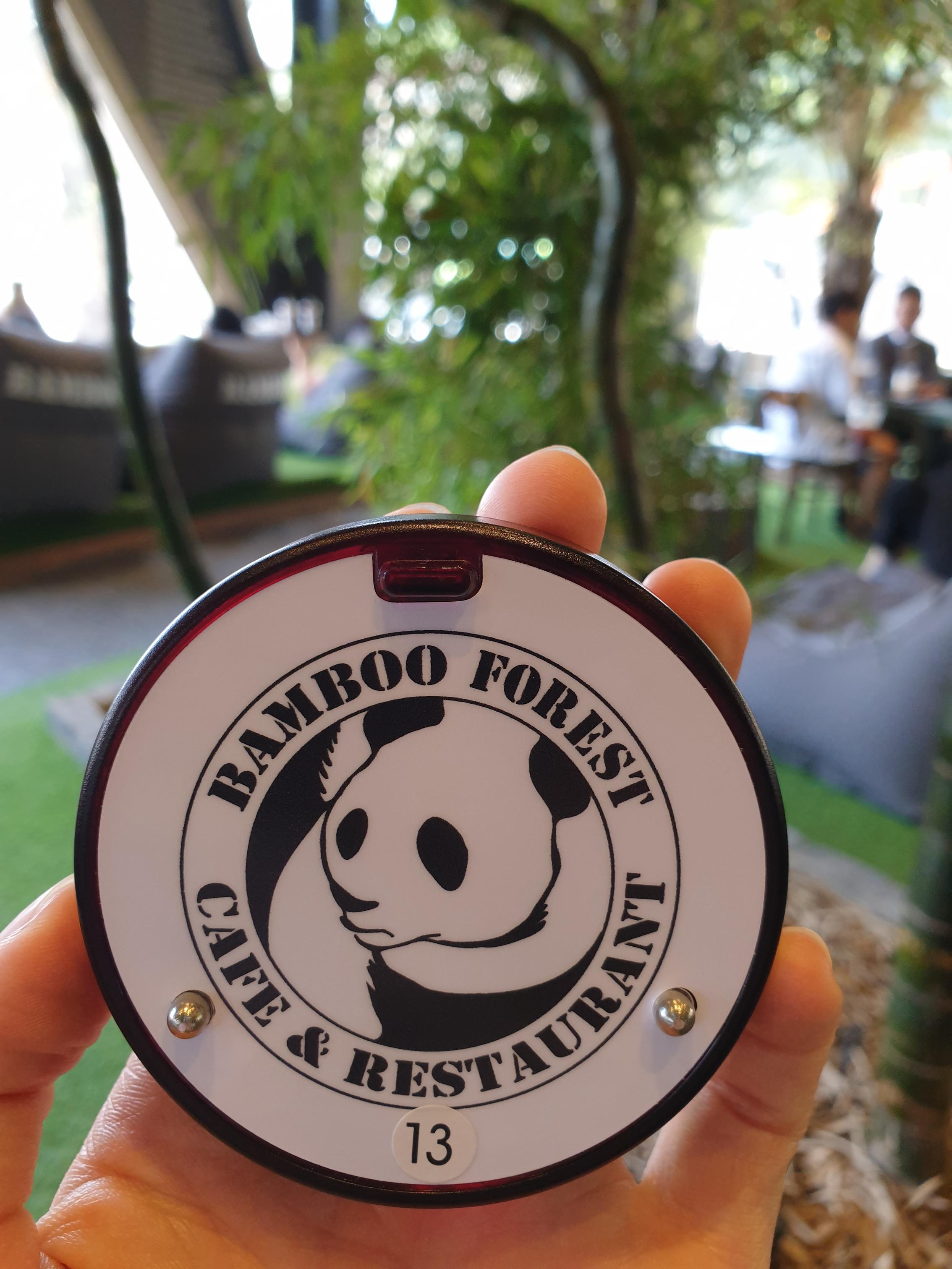 韓国BAMBOO15-8カフェの内部から外を眺める景色。大きな木と窓から見える青空が印象的です。