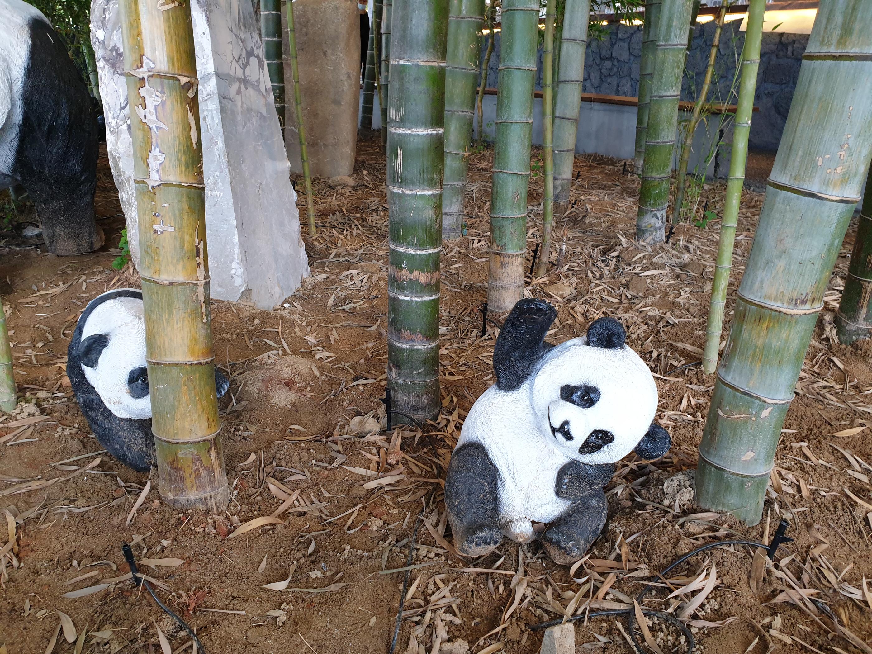 韓国のBAMBOO15-8カフェ内部。小さなパンダの置物が竹の間に置かれています。