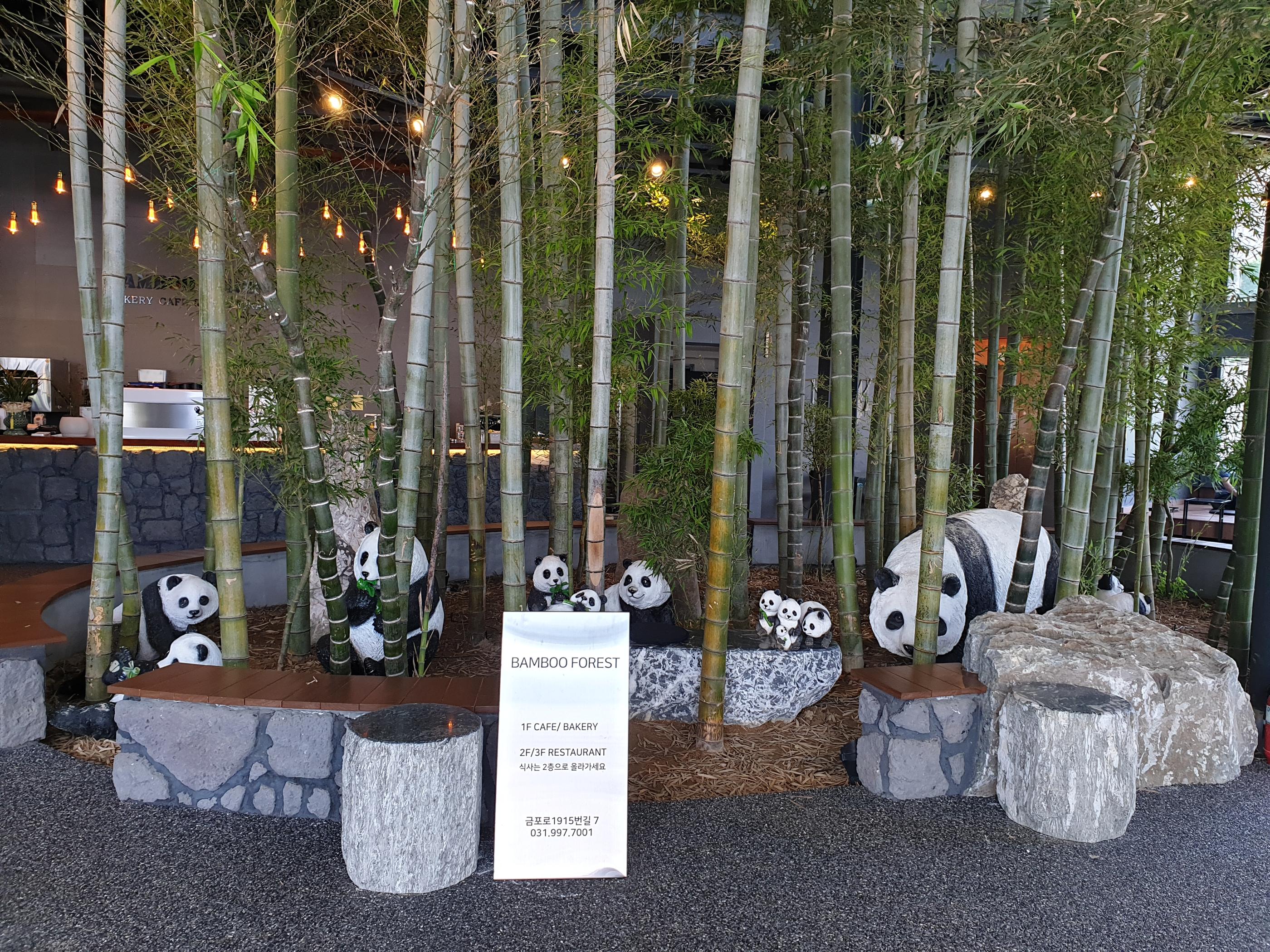 韓国のBAMBOO15-8カフェ内部にある竹とパンダの装飾。竹林に囲まれてたくさんのパンダの置物が置かれています。