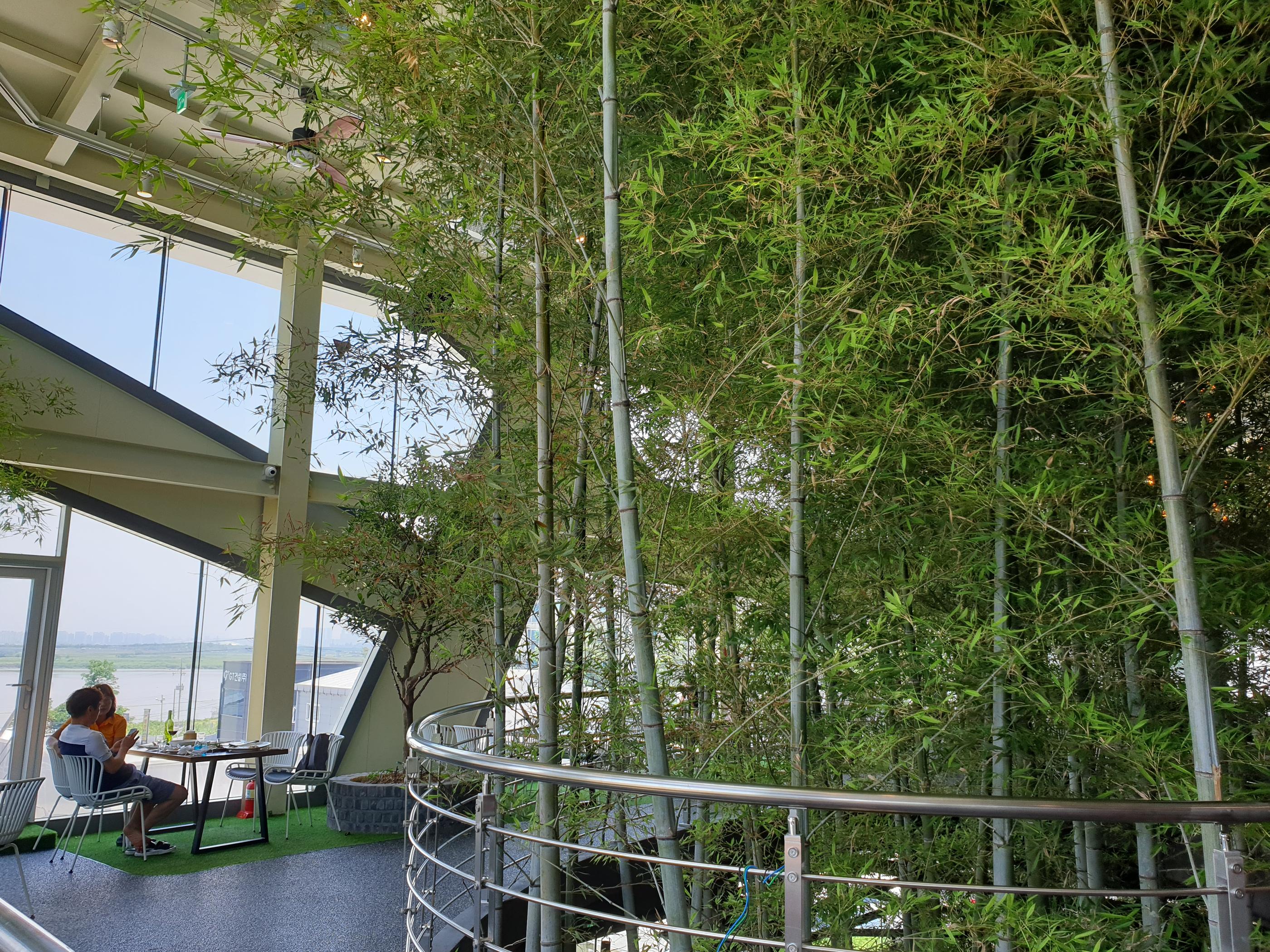 韓国BAMBOO15-8カフェの2階に続く大きな竹。天井まで伸びています。