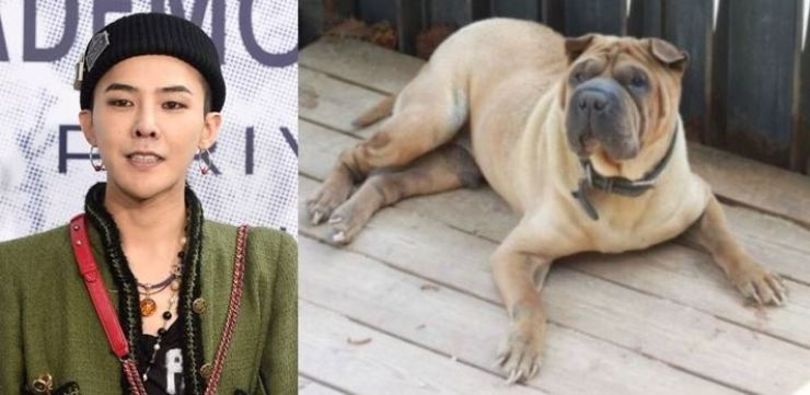 K-Entertainment Weekly | July 3, 2025 | Beenzino leaving Illionaire records, Lee Hyori & YoonA