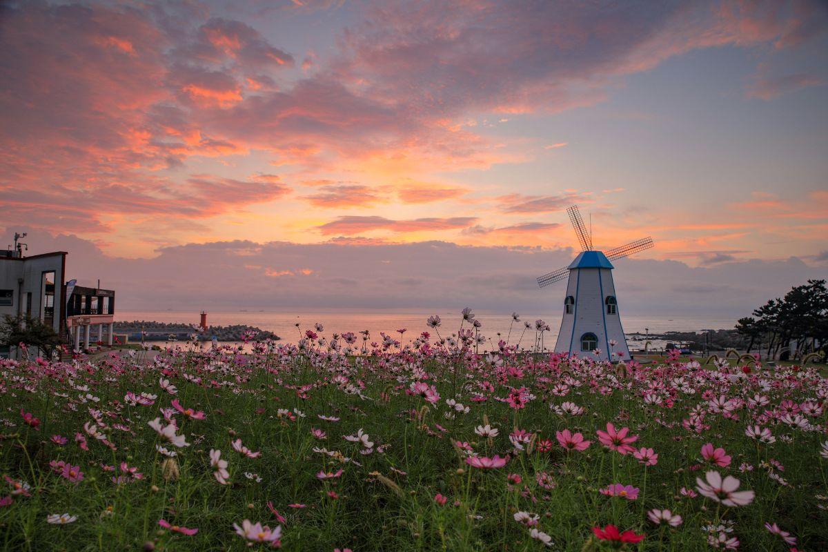  Bãi biển Ganjeolgot (Ulsan), Các bãi biển đẹp ở Hàn Quốc nhất định nên ghé thăm 1 lần khi du lịch Hàn