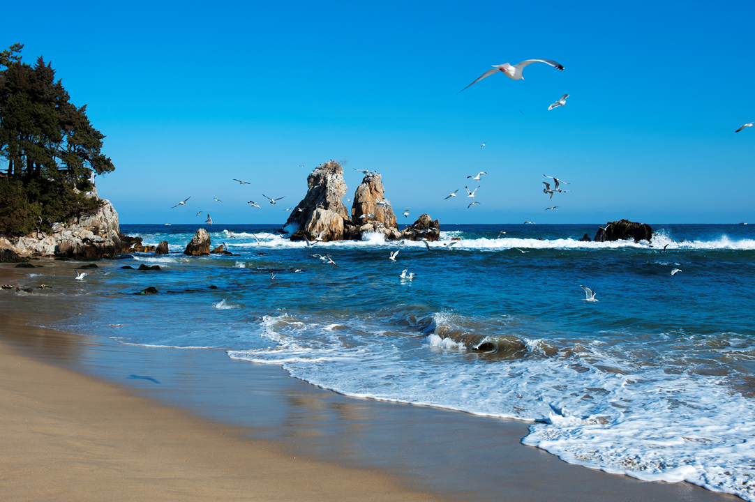 Korean Beach Recommendation | Introduction To Best Beaches You Must Visit in Korea!