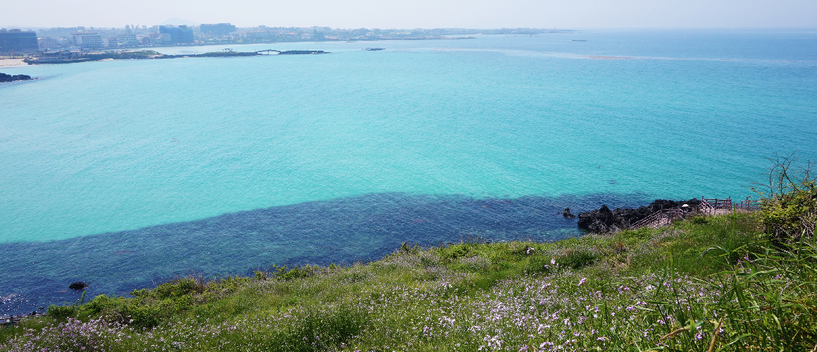 Korean Beach Recommendation | Introduction To Best Beaches You Must Visit in Korea!