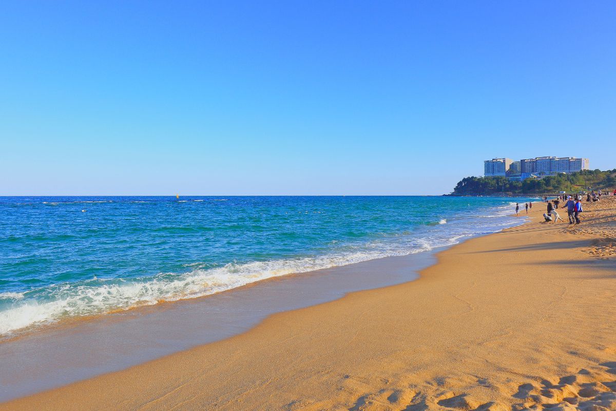 Bãi biển Sokcho , Các bãi biển đẹp ở Hàn Quốc nhất định nên ghé thăm 1 lần khi du lịch Hàn