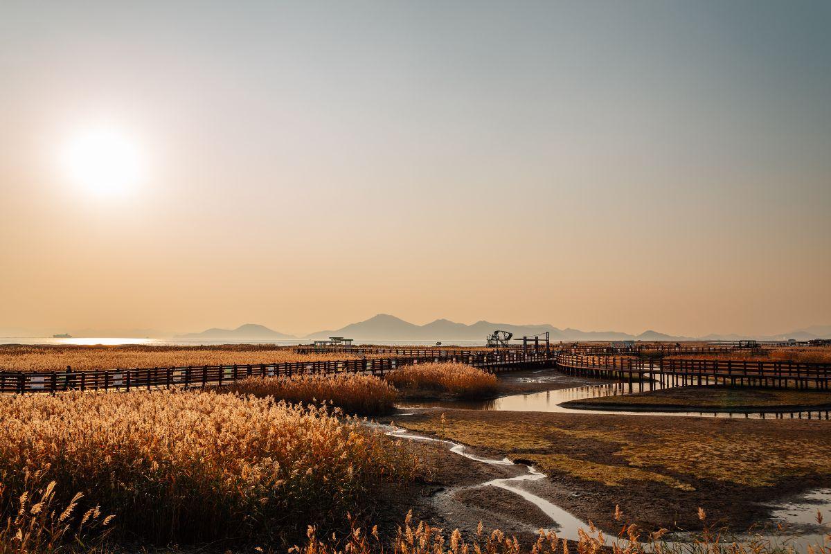 Bãi biển Dadaepo (Busan), Các bãi biển đẹp ở Hàn Quốc nhất định nên ghé thăm 1 lần khi du lịch Hàn