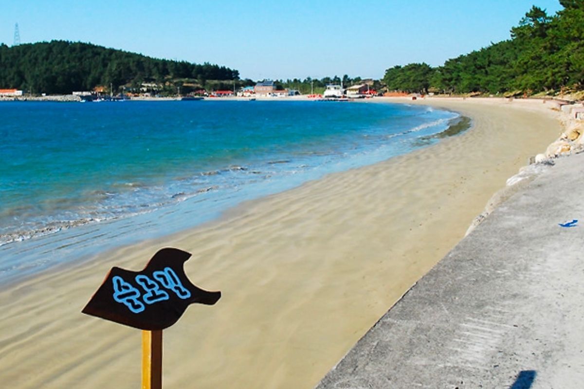 Bãi biển Jiri Cheongsong (Wando), Các bãi biển đẹp ở Hàn Quốc nhất định nên ghé thăm 1 lần khi du lịch Hàn