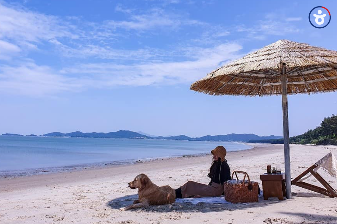 Korean Beach Recommendation | Introduction To Best Beaches You Must Visit in Korea!