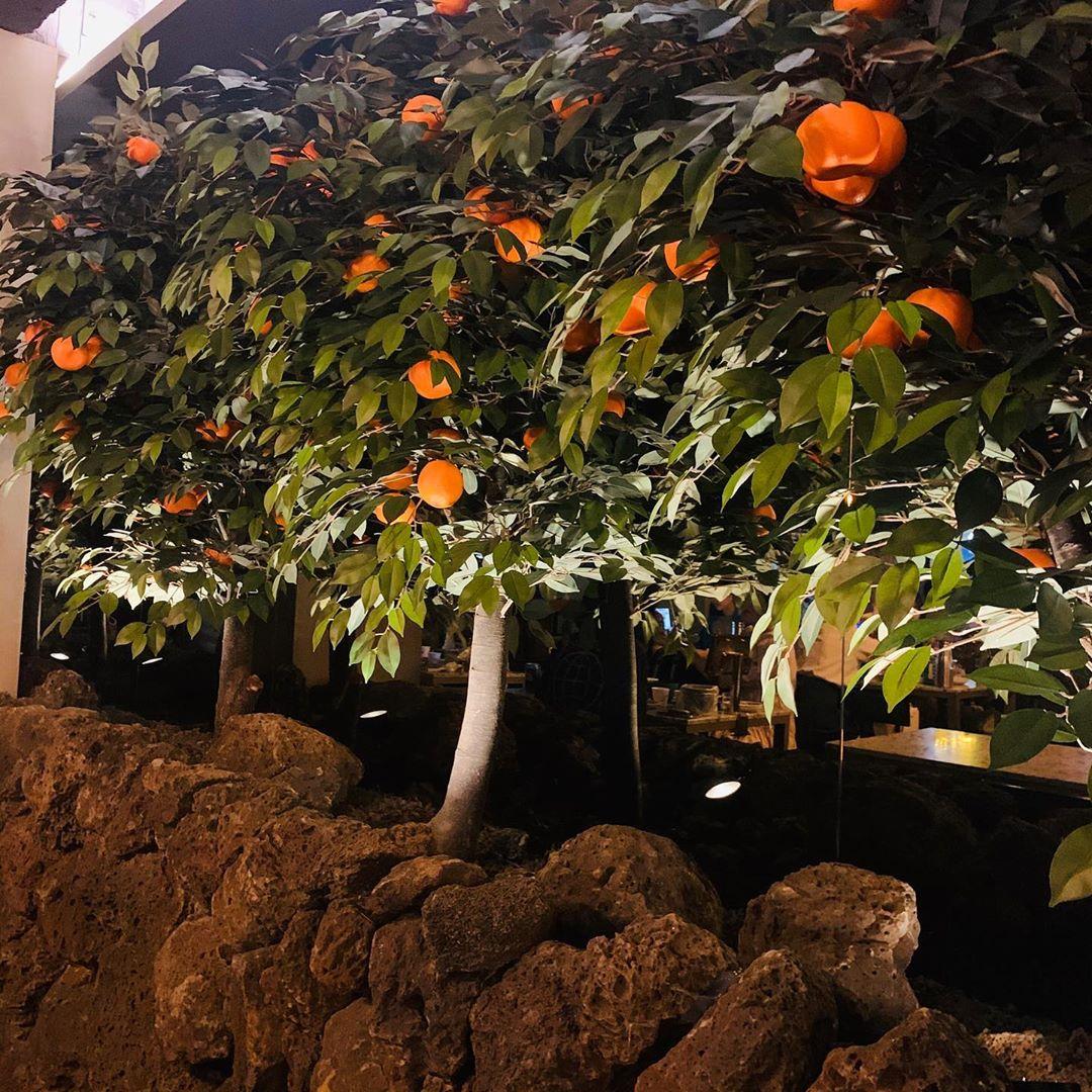 韓国居酒屋 韓国ポチャ ソウル居酒屋  シンリム 탐라포차 シンリム居酒屋 シンリムポチャ 韓国情報 チェジュ島 チェジュ島コンセプト