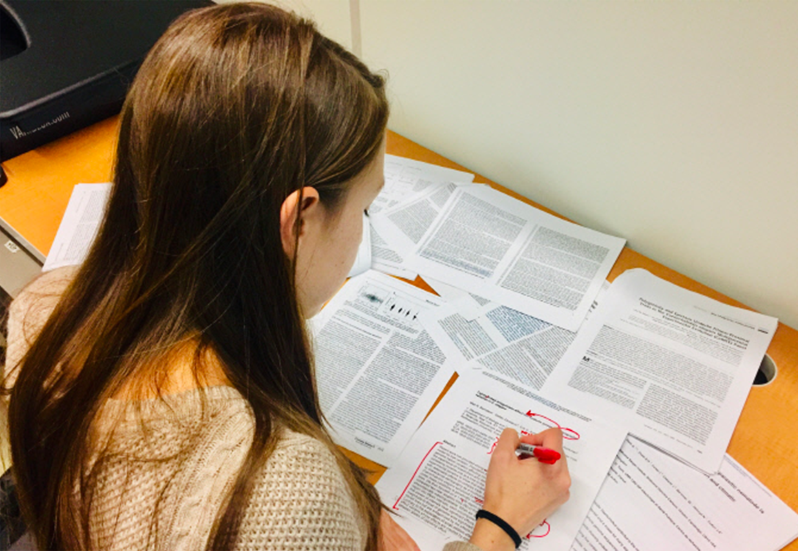 一位正在閲讀文件的女子背影，探討香港人英文能力的真相。