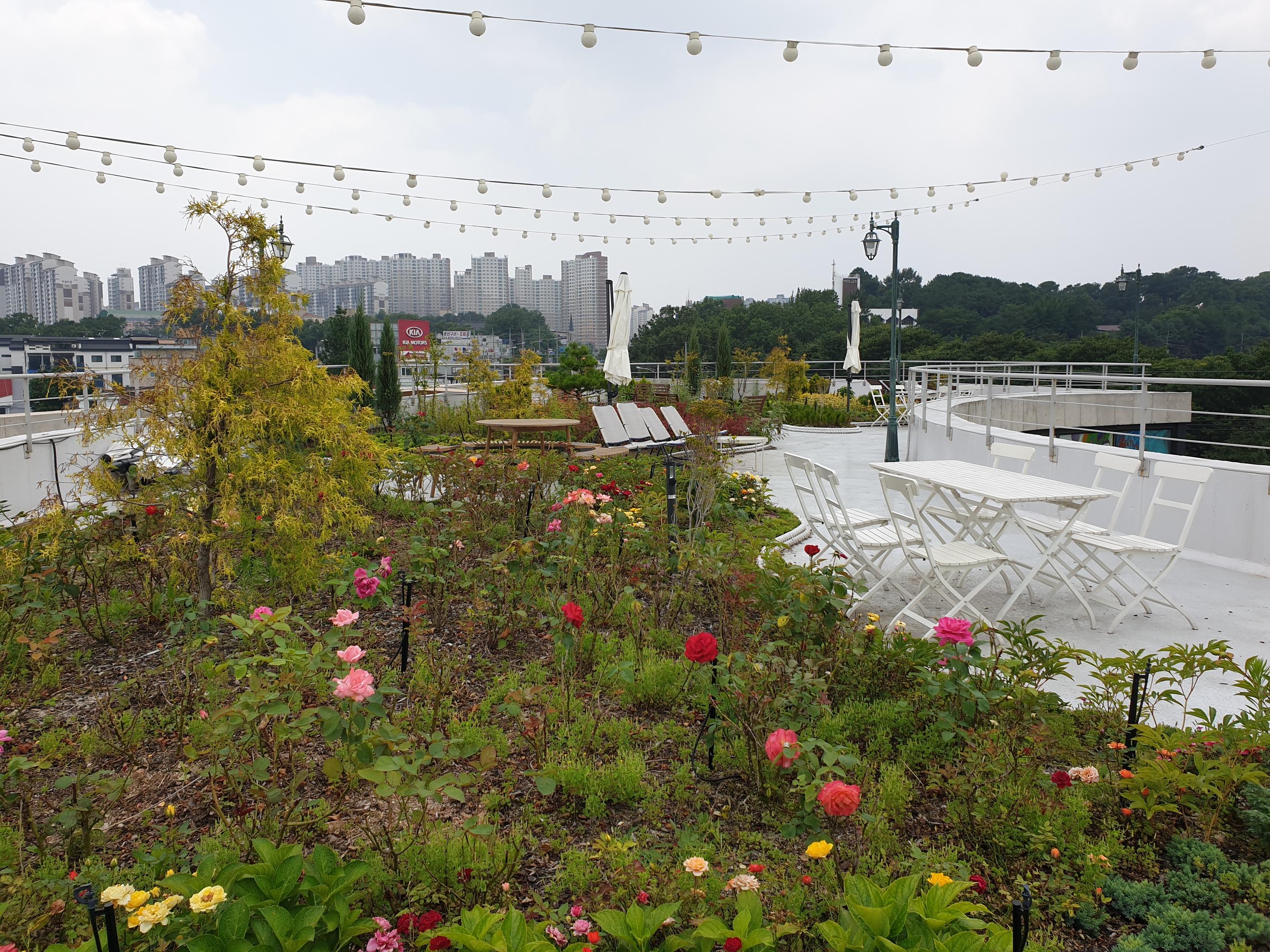 韓国カフェ、韓国、カフェ、ソウル、ソウルカフェ、ソウル郊外、ソウル郊外カフェ、郊外カフェ、京畿道、キョンギド、コヤン、コヤン市、高陽、高陽カフェ、コヤンカフェ、イルサン、イルサンカフェ、一山、一山カフェ、ホンデ、ホンデ入口、コンドク、孔徳、パジュカフェ、パジュ