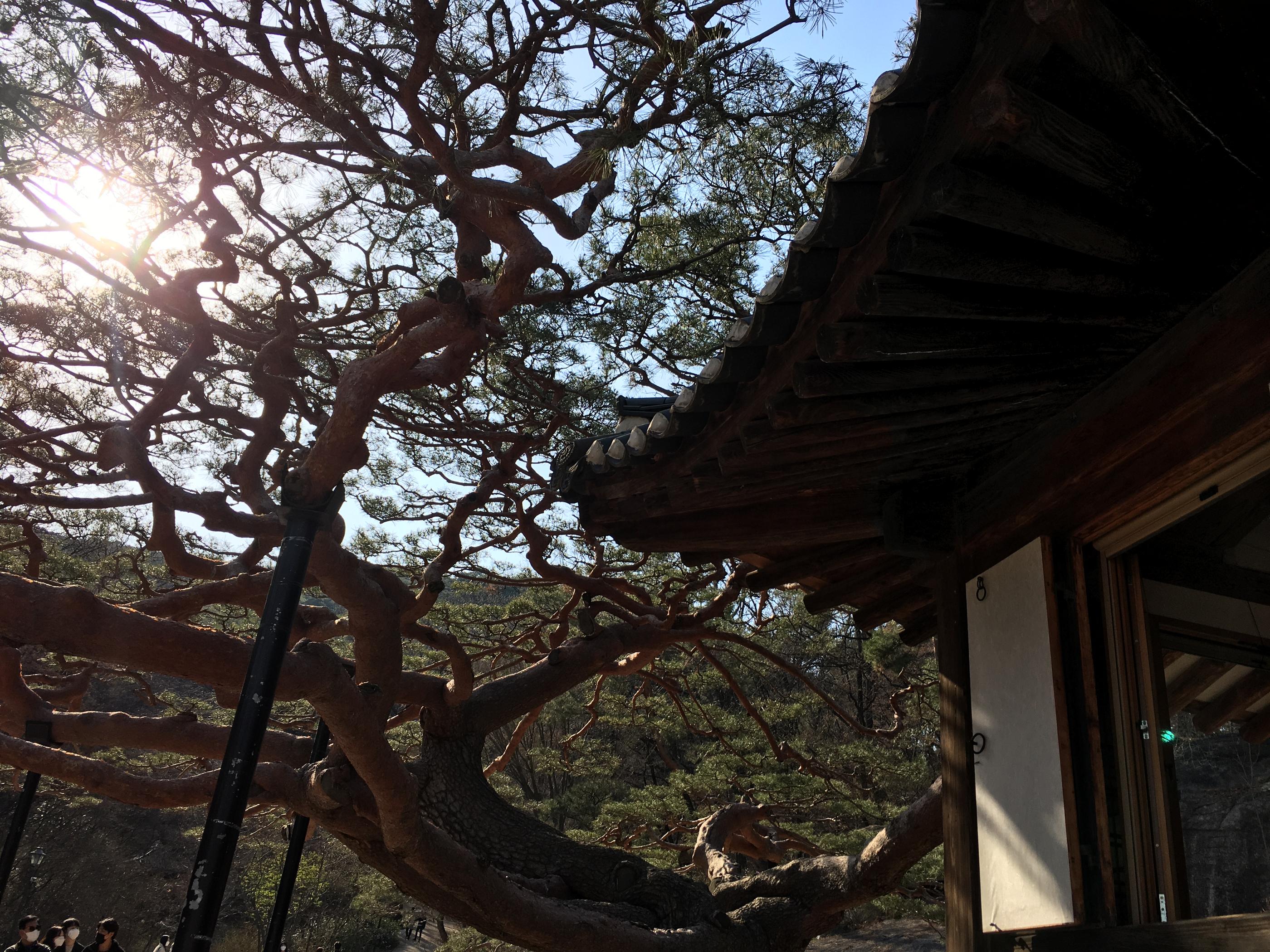 Seokpajeong Seoul Museum | A Royal Vacation House & Local Museum Situated On The Quaint Hills of Buam-dong, Seoul