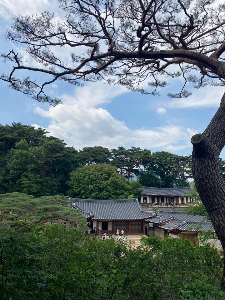 Seokpajeong Seoul Museum | A Royal Vacation House & Local Museum Situated On The Quaint Hills of Buam-dong, Seoul