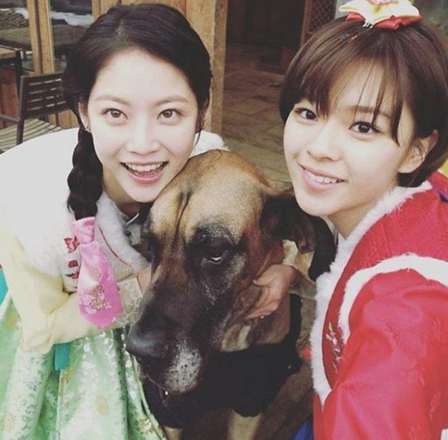 An Extensive List Of Korean Celebrity Siblings - Both Famous And Less Known