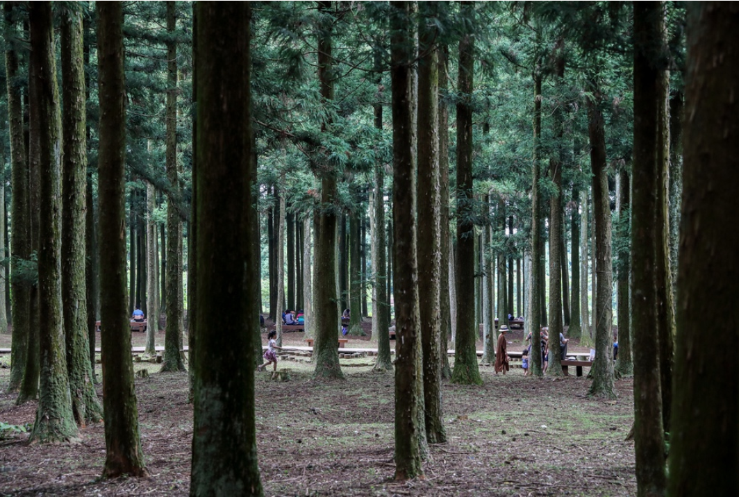 You Dong Coffee delights in Jeju - Enjoy a perfect blend of flavors and aesthetics at this popular premier coffee hub.