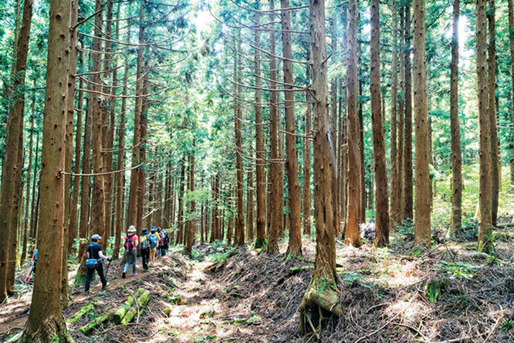 A complete guide for a perfect trip to Jeju Island | Activities, restaurants, cafes and more!