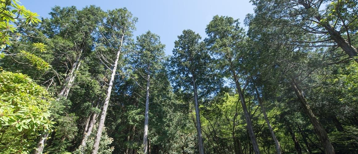 A complete guide for a perfect trip to Jeju Island | Activities, restaurants, cafes and more!