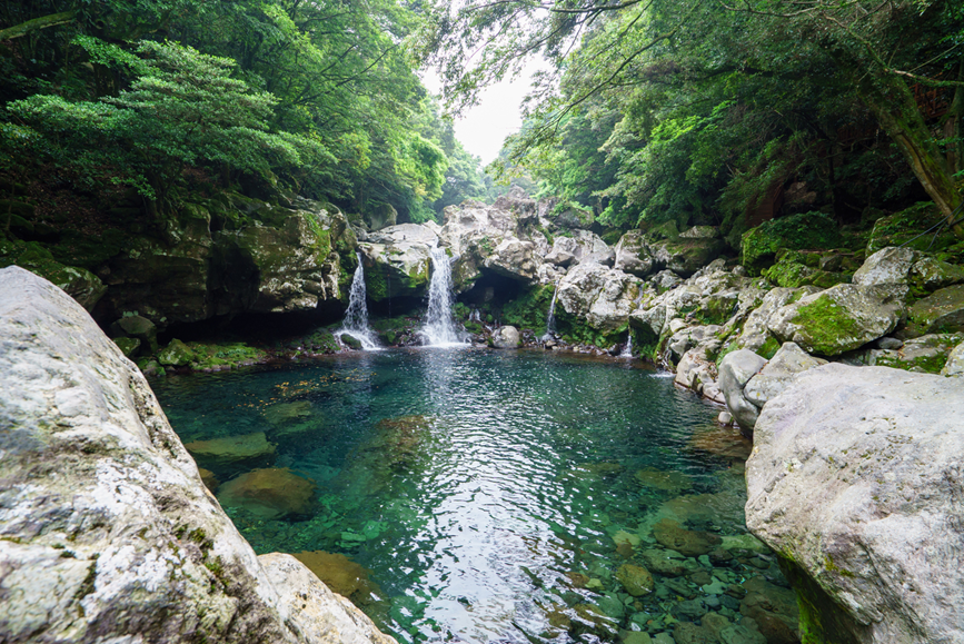 A complete guide for a perfect trip to Jeju Island | Activities, restaurants, cafes and more!