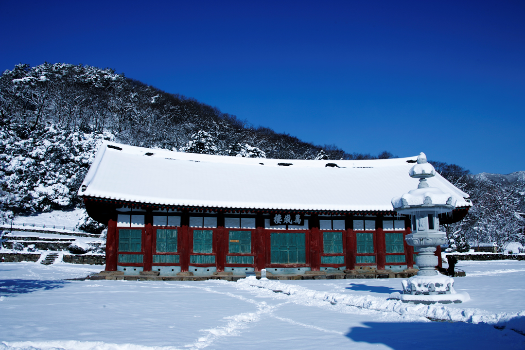 A to Z guide for a perfect templestay in Korea | Reservation, schedule, activities and more!