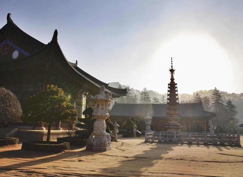 A to Z guide for a perfect templestay in Korea | Reservation, schedule, activities and more!