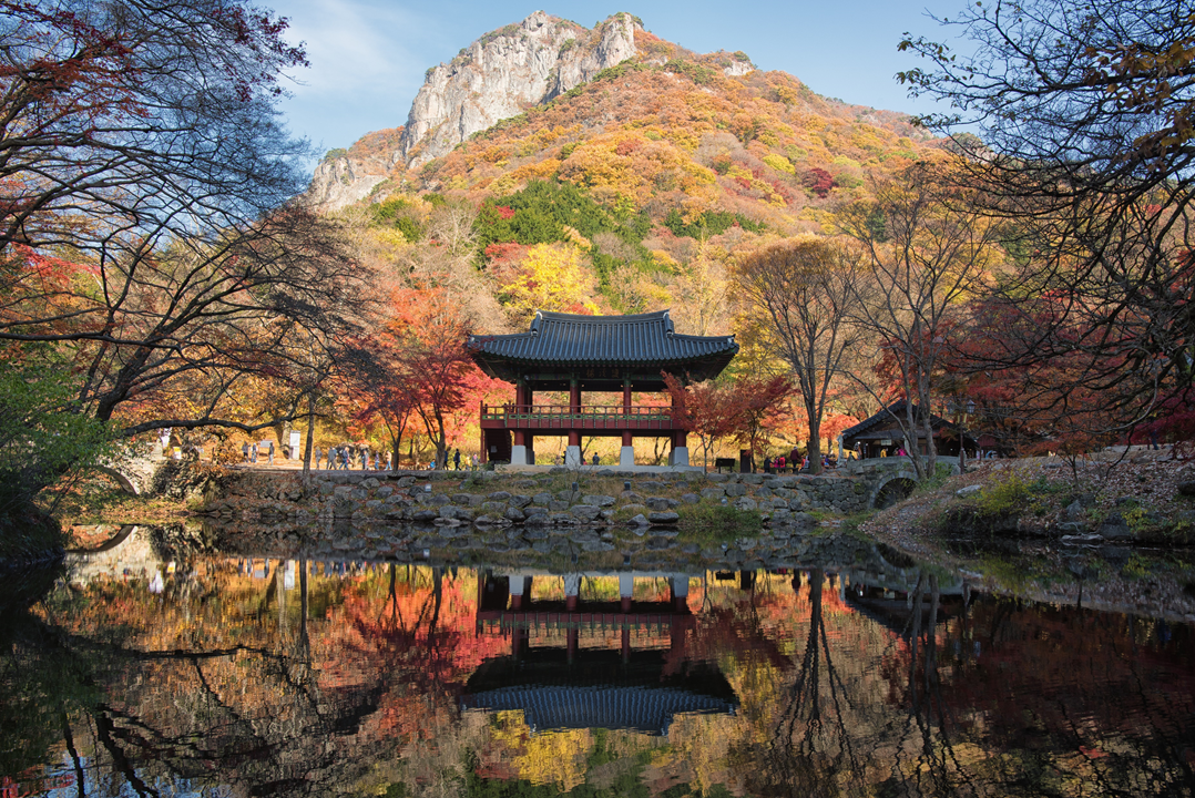 A to Z guide for a perfect templestay in Korea | Reservation, schedule, activities and more!