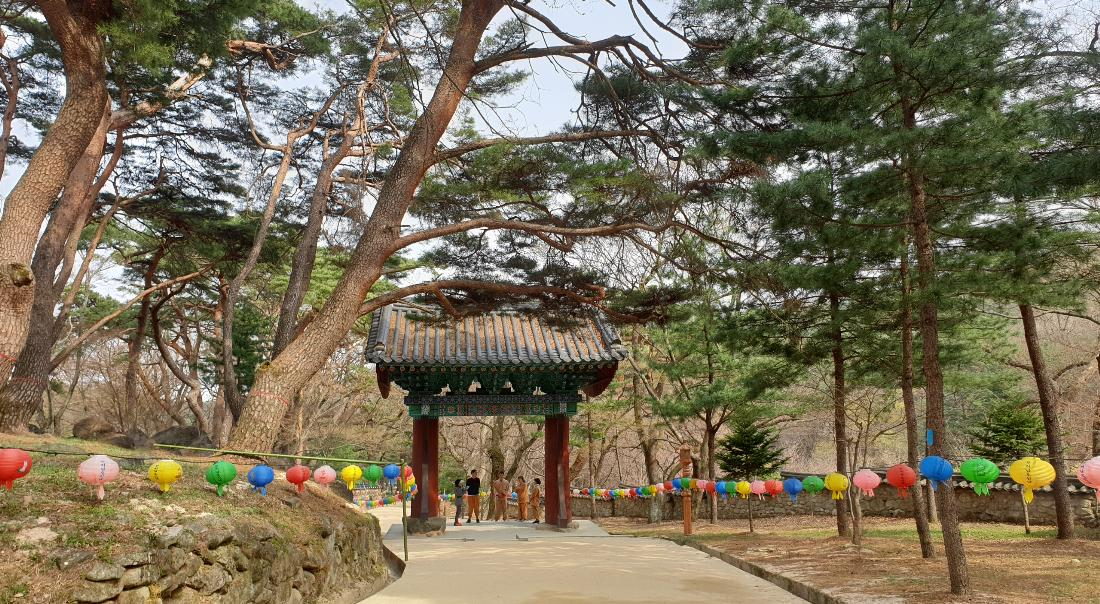 A to Z guide for a perfect templestay in Korea | Reservation, schedule, activities and more!