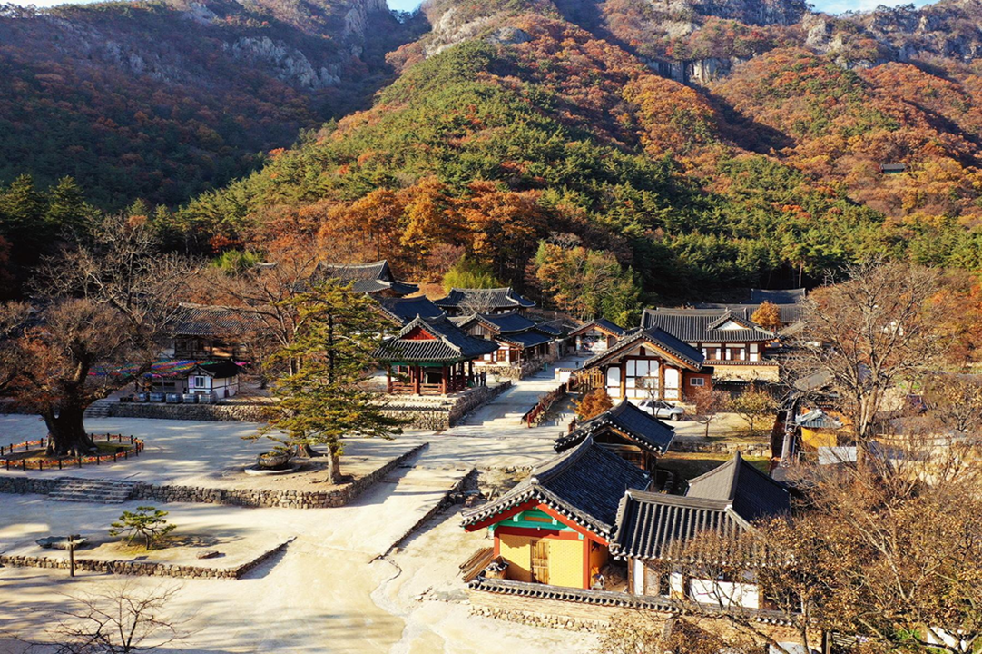 A to Z guide for a perfect templestay in Korea | Reservation, schedule, activities and more!
