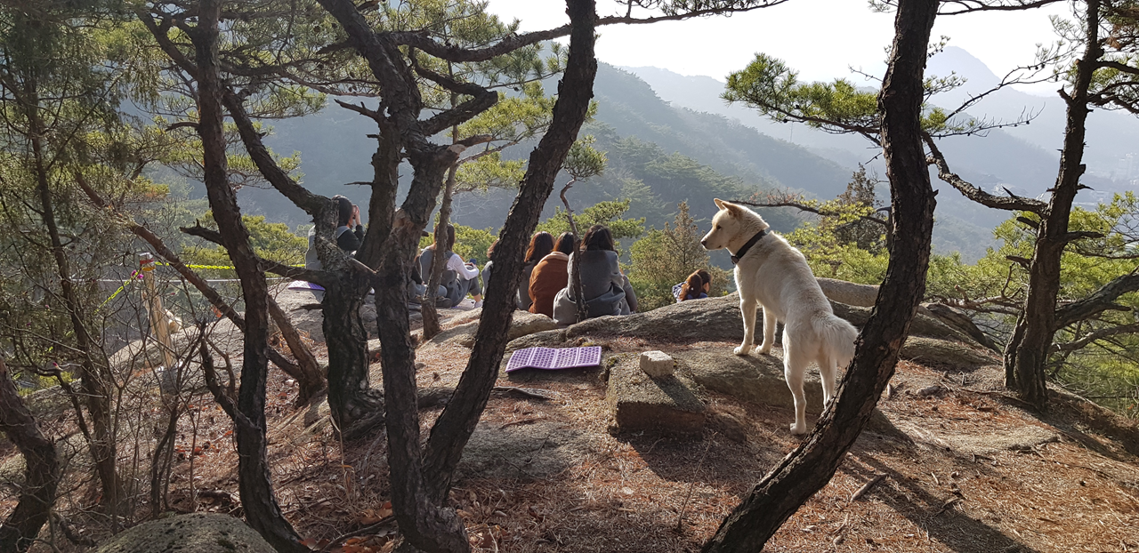 A to Z guide for a perfect templestay in Korea | Reservation, schedule, activities and more!