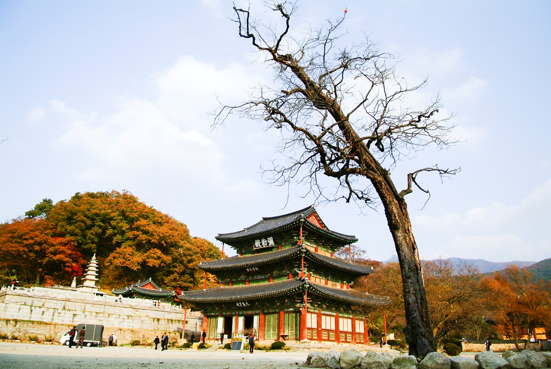 A to Z guide for a perfect templestay in Korea | Reservation, schedule, activities and more!