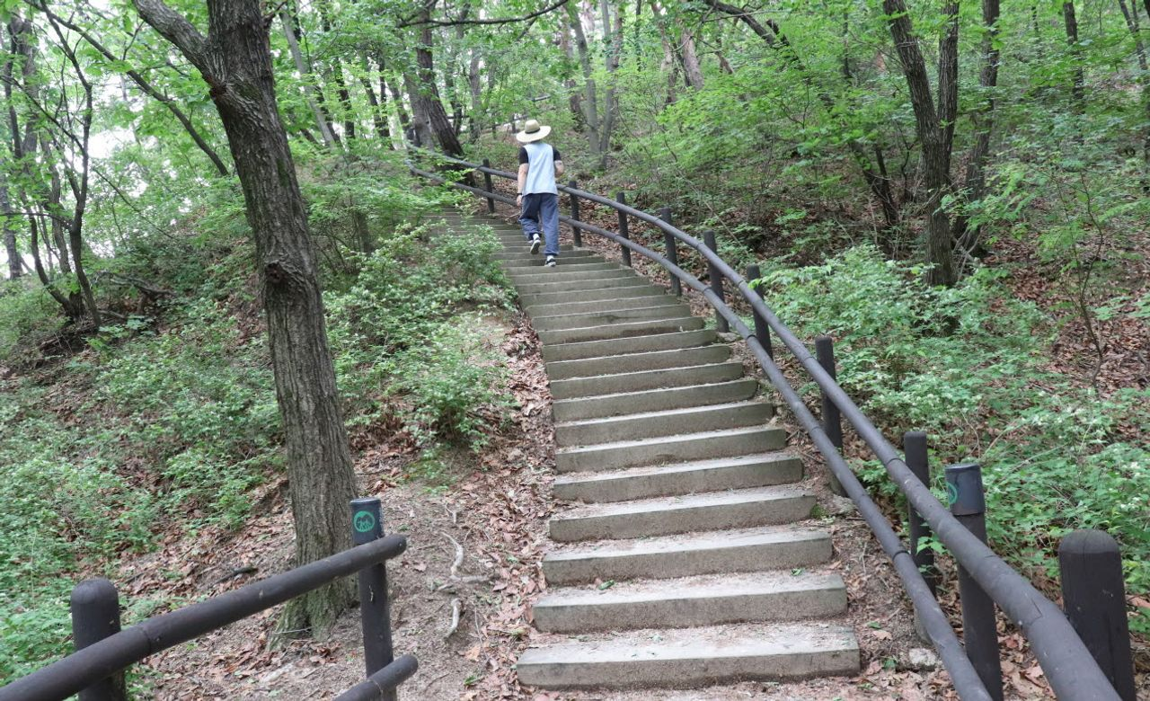 A to Z guide for a perfect templestay in Korea | Reservation, schedule, activities and more!