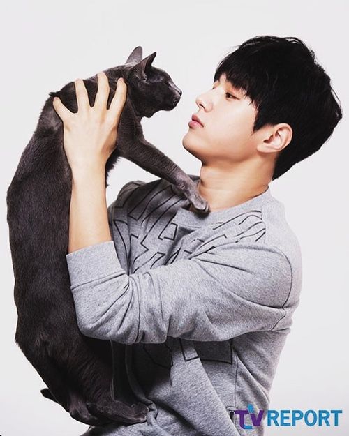 Creatrip 韓国芸能人の愛猫たち Creatrip 韓国芸能人の愛猫たち