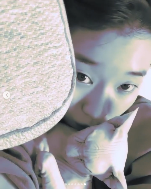 Kucing Sphinx dengan tatapan tajam sedang berbaring di tempat tidurnya, menampilkan sisi unik dan eksotisnya.