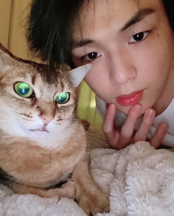 韓國偶像姜丹尼爾與他的四隻貓Rooney, Peter, Ori和Zhang-ah