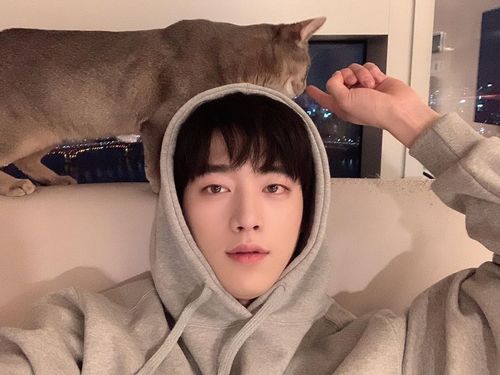 Creatrip 韓国芸能人の愛猫たち Creatrip 韓国芸能人の愛猫たち