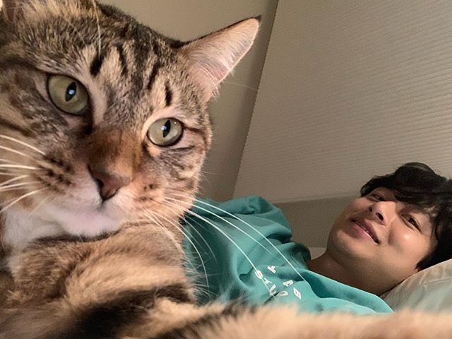 Kim Chung-jae dan kucing peliharaannya yang menggemaskan, terpapar dalam cahaya hangat.